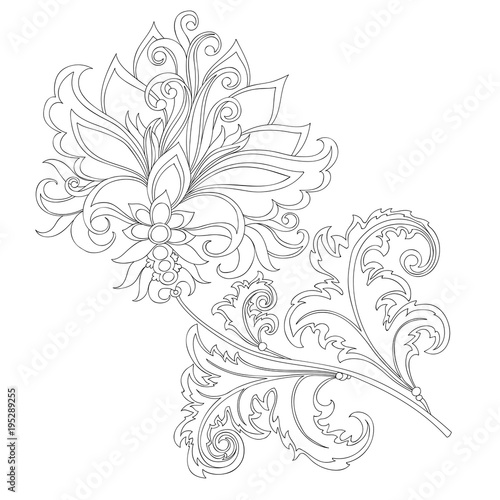 contour of fantasy flower 