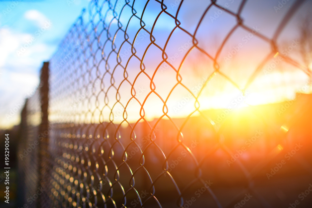 fence with metal grid in perspective