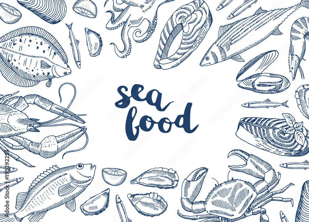 Vector background illustration with hand drawn seafood elements Vector background illustration with hand drawn seafood elements