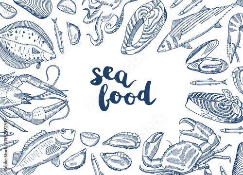 Vector background illustration with hand drawn seafood elements