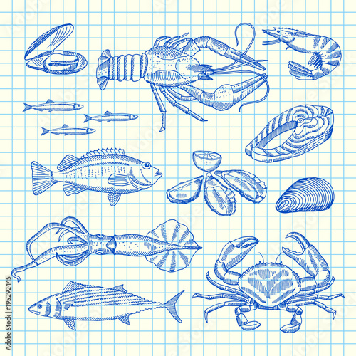 Vector hand drawn seafood elements set