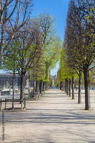 Jardin des Tuileries - The Tuileries Garden Park in Paris, France photo