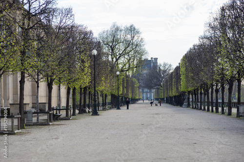Jardin des Tuileries - The Tuileries Garden Park in Paris, France