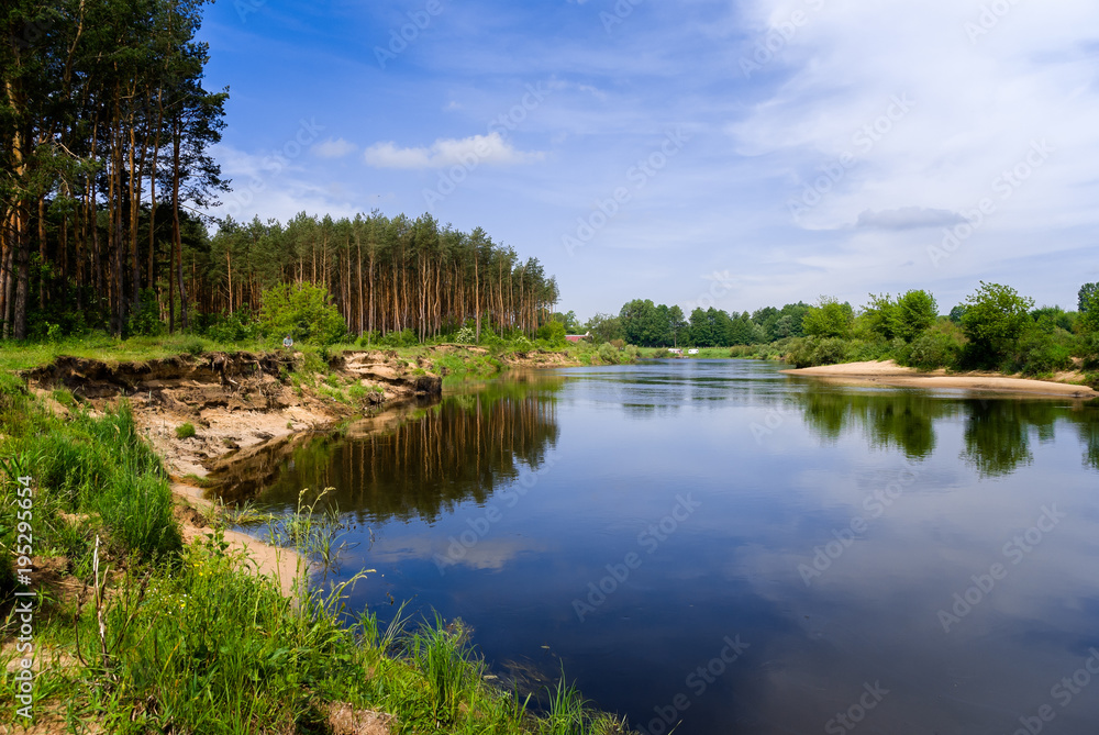 Lato nad rzeką Narew