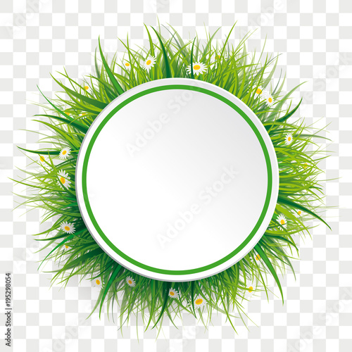 Circle Green Grass Flowers Transparent