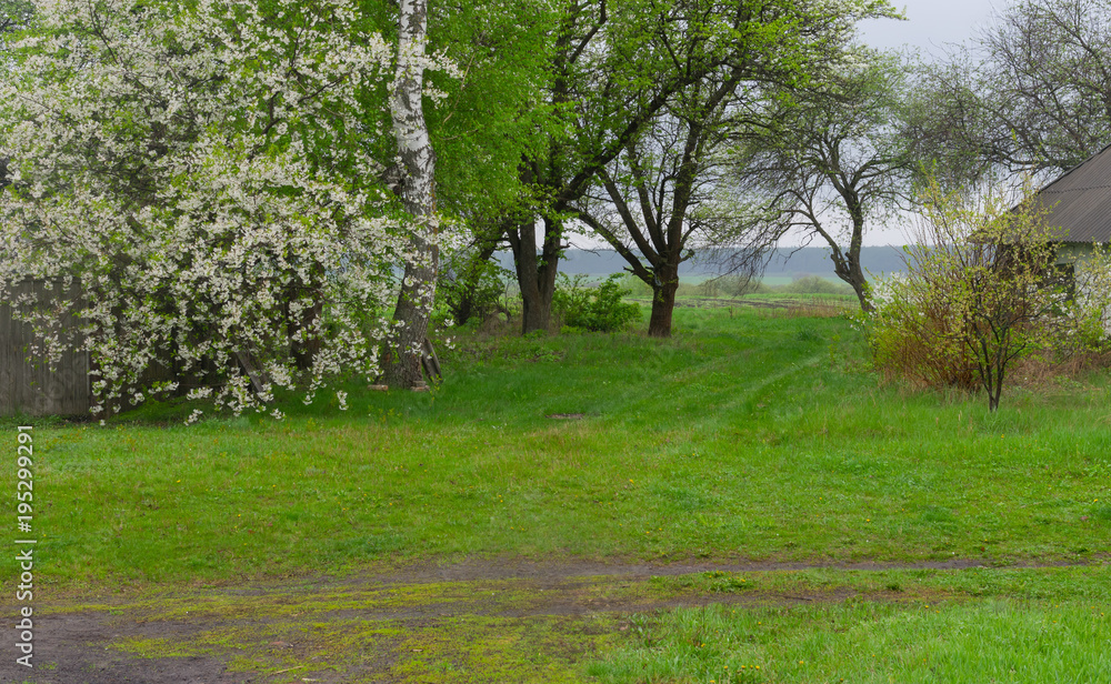 Landscape with an earth roads in rural Ukrainian area at spring season. Landscape with an earth roads in rural Ukrainian area at spring season.