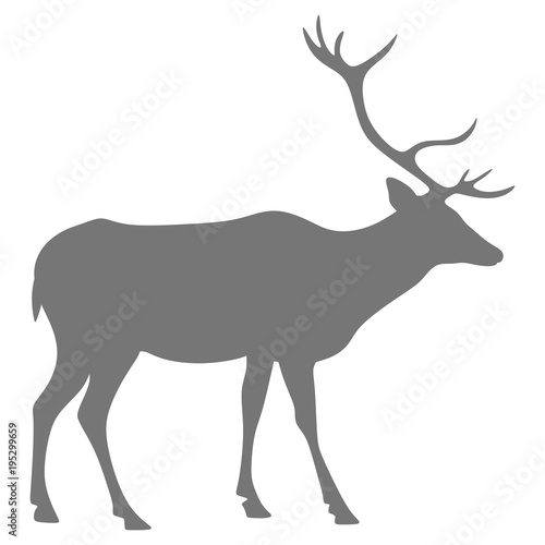 Silhouette of a deer