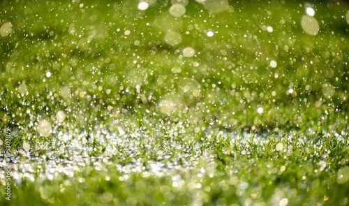 Soft focus of Close up heavy raining on green grass field in Fresh morning natural background. World Water Day concept.