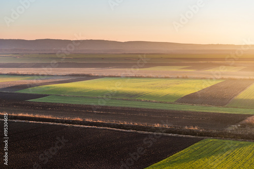 Agricultural landscape, arable crop fields