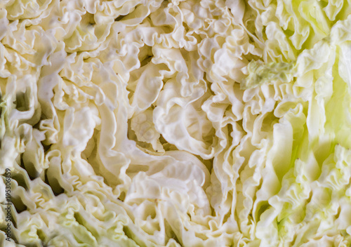 Peking cabbage