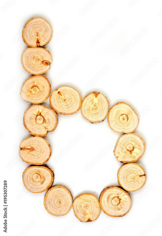 Alphabet letters made from Wood slice on white Background.b Alphabet letters made from Wood slice on white Background.b