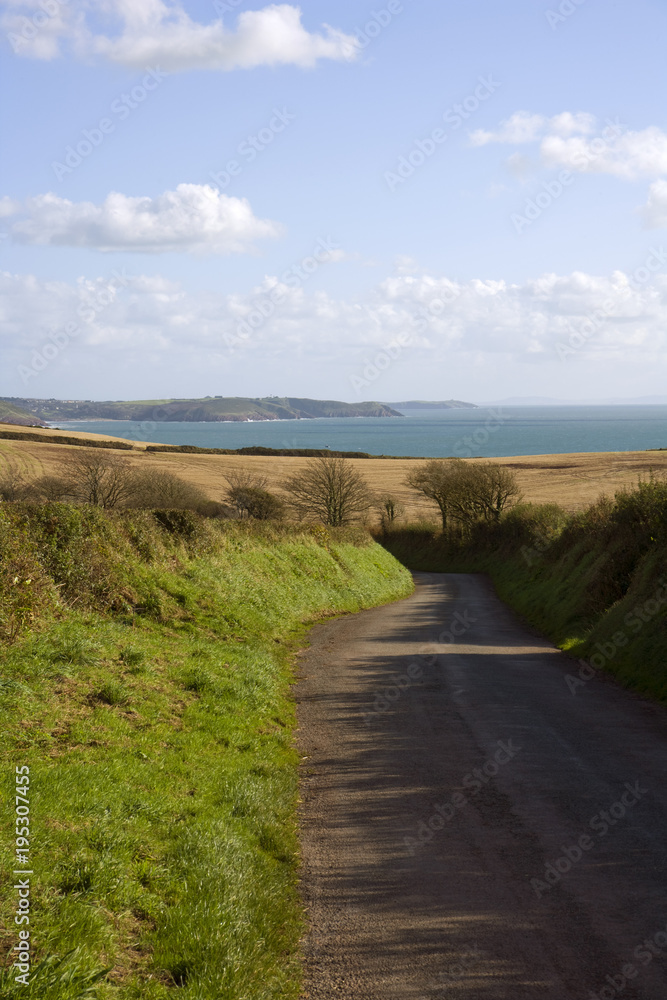UK, Wales, Pembrokeshire, empty country road winding down towards coast