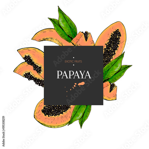 Hand drawn papaya whole, sliced, half with leaves in design template. Colored engraved illustration. Square stylish frame composition. Restaurant menu flyer, banner, poster, exotic fruit summer party