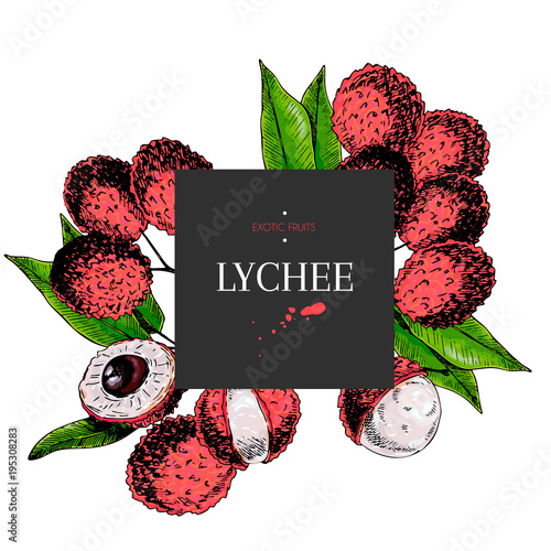 Hand drawn lychee branch, whole berry, half with leaves in design template. Colored engraved illustration. Square stylish frame composition. Restaurant menu, flyer, banner, exotic fruit summer party photo