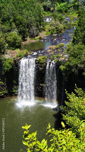 Fototapeta Naklejka Na Ścianę i Meble -  Dangar Falls, Wasserfall in Dorrigo, New South Wales in Australien