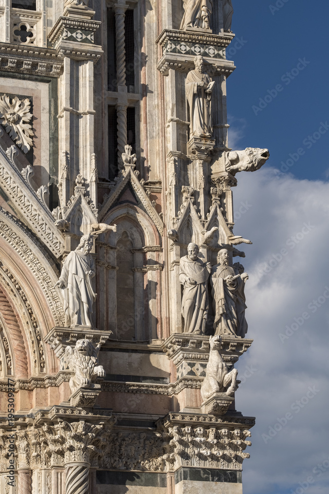 Naklejka premium Siena, Italy: historic buildings, the cathedral (Duomo)