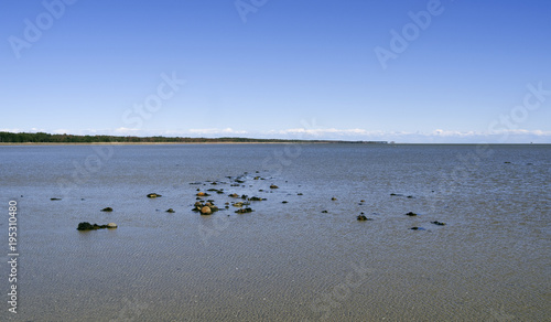 Laesoe / Denmark: View over the wide mudflat at Bovet Bugt at low-tide