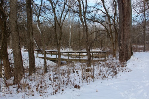 Fototapeta Naklejka Na Ścianę i Meble -  The winter scene with the wood bridge in forest.