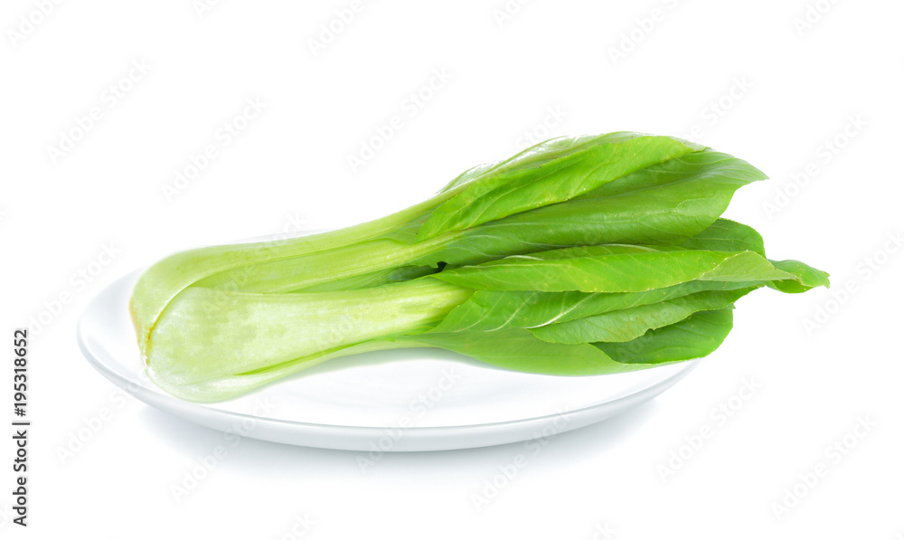 lettuce in white plate on white background