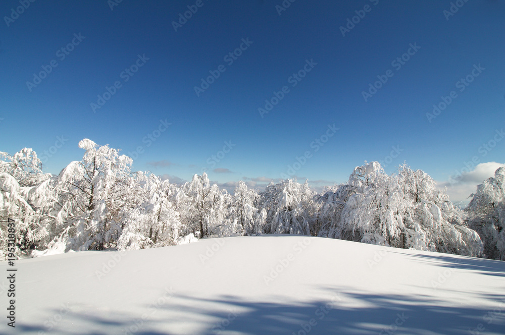 winter landscape on the top of a mountain in a sunny day