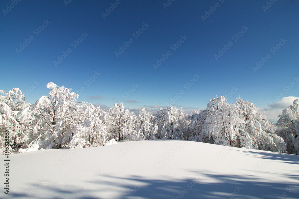 winter landscape on the top of a mountain in a sunny day winter landscape on the top of a mountain in a sunny day