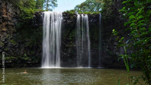 Dangar Falls   Wasserfall in Dorrigo  Australien  NSW