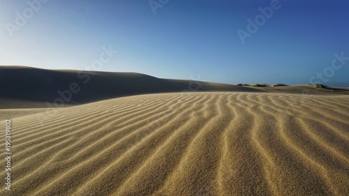 Wüste | Sandwüste am Birubi Beach, NSW, Port Stephens, Australien