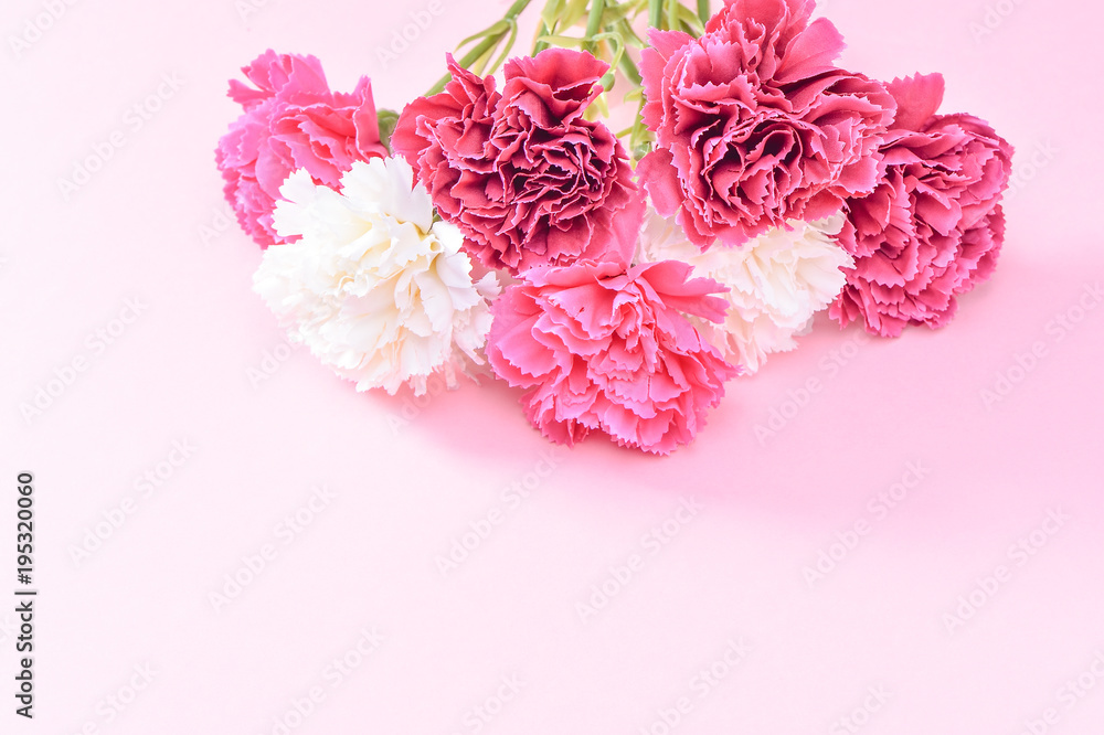 May Mother's Day Carnation Bunch of Flowers Bouquet Top View, Blank for Text, Pink