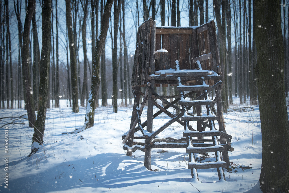 Hunting tower in the winter forest