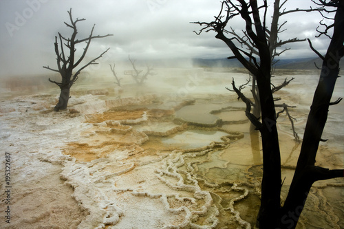 Canary Spring, Mammoth Hot Springs, Yellowstone National Park, USA photo