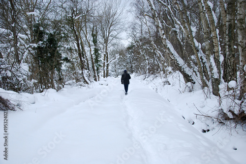 Walking in a snowy forest