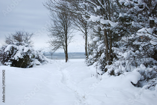 Winter view by the coast