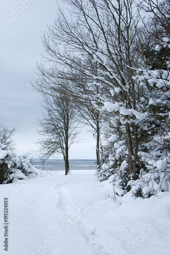 Coastal winter landscape © Birgitta