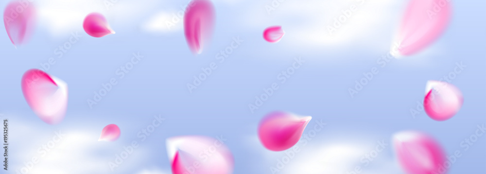 Flying petals, vector background. Hanami concept – Japan cherry blossom festival. Spring background.