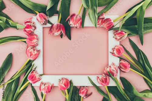 Fototapeta Naklejka Na Ścianę i Meble -  beautiful pink tulips with green leaves and empty white frame on pink