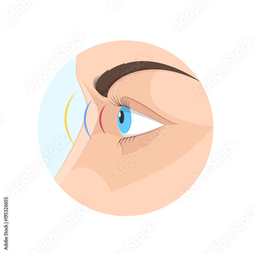 Body human sight, eye. Biology, anatomy man and human organs.