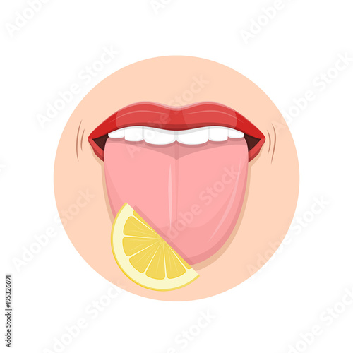 Human organ tongue, perception flavors, five taste buds receptors man.