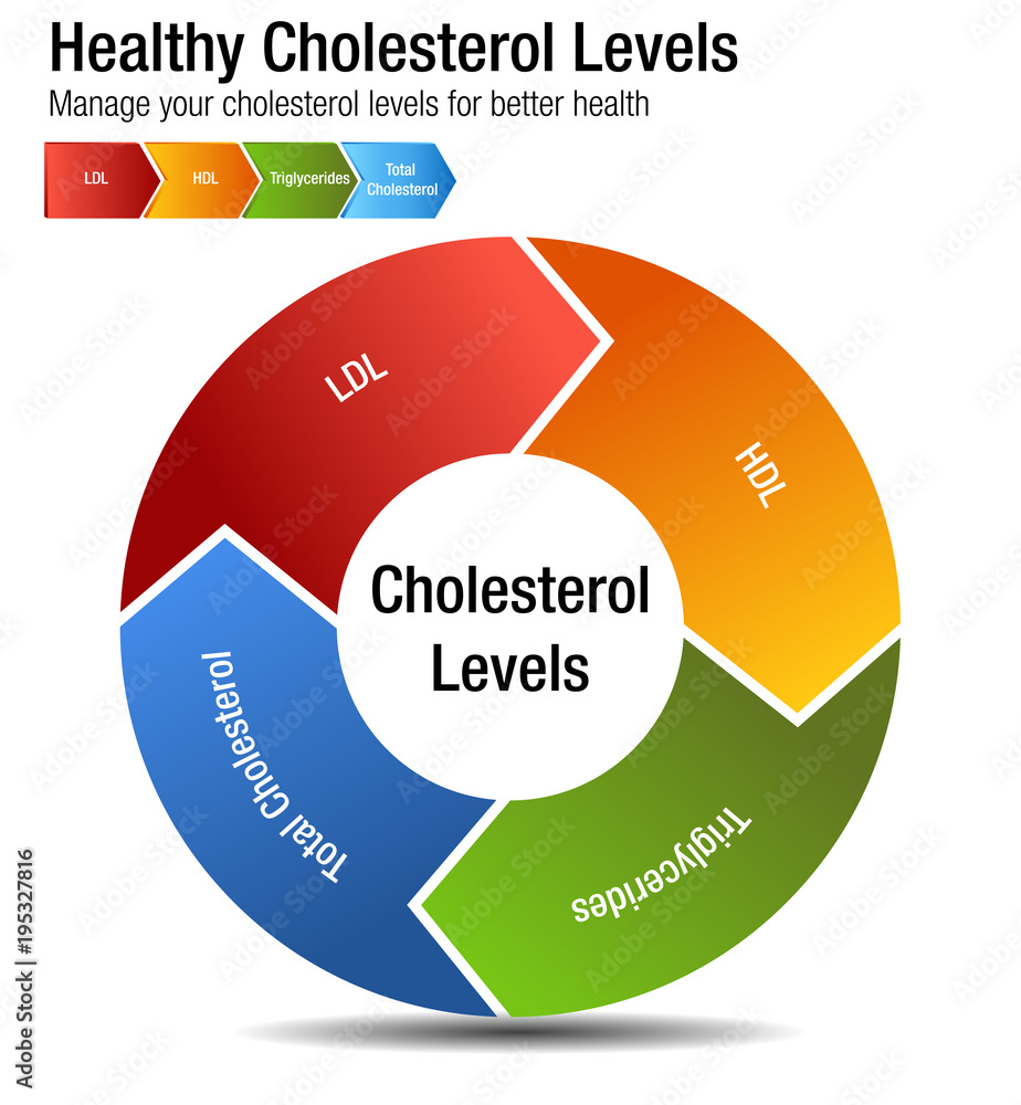 Total Blood Cholesterol HDL LDL Triglycerides Chart Stock Vector