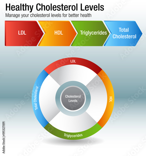 Total Blood Cholesterol HDL LDL Triglycerides Chart