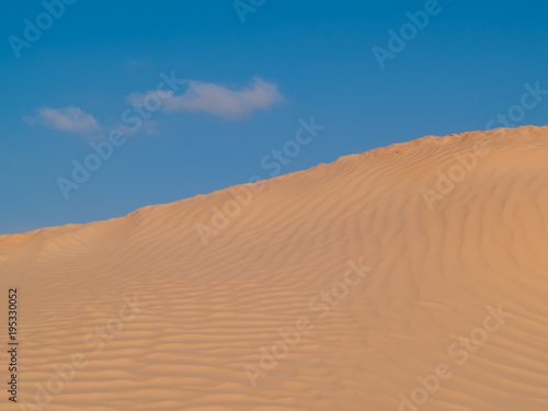 Douz-Tunisia  Sahara desert in southern Tunisia  sand dunes