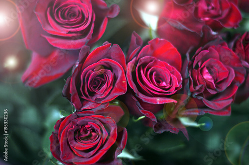 Beautiful romantic bouquet of roses with highlights