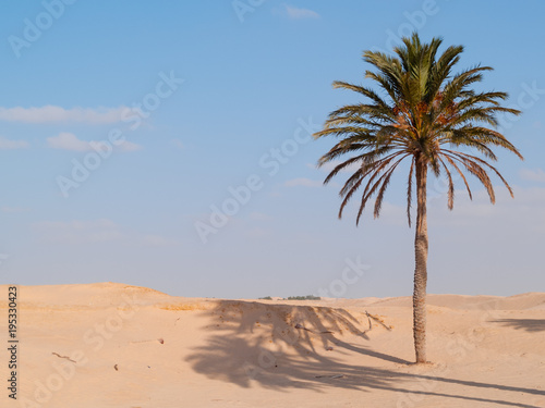 Douz-Tunisia  Sahara desert in southern Tunisia  sand dunes