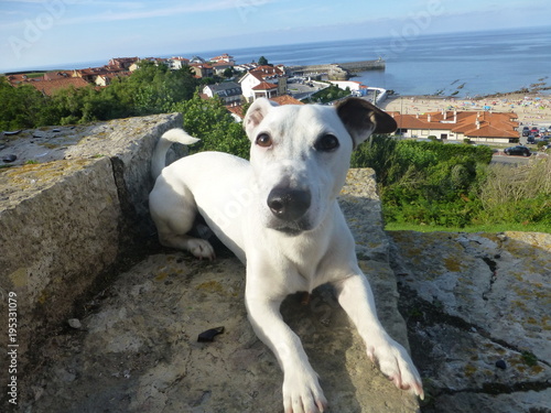 Comillas,pueblo de la comunidad autónoma de Cantabria (España) photo