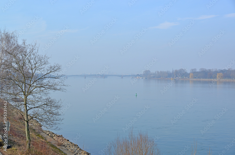 Rhein bei Mainz