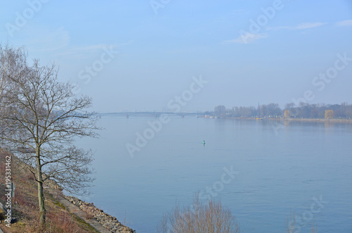 Rhein bei Mainz © Michael Möller