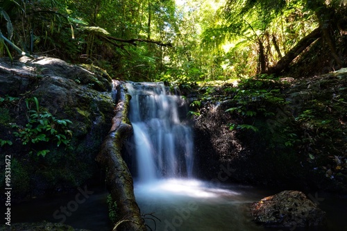 Fototapeta Naklejka Na Ścianę i Meble -  Wasserfall im Lamington Nationalpark im Regenwald, Queensland, Australien 