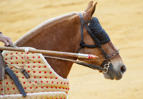 A PICADOR DURING BULLFIGHT  IN SEVILLA, SPAIN