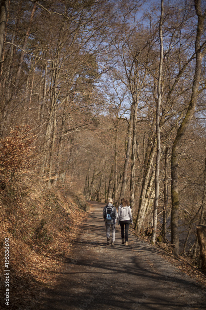Two walking women in a forest in autumn Two walking women in a forest in autumn
