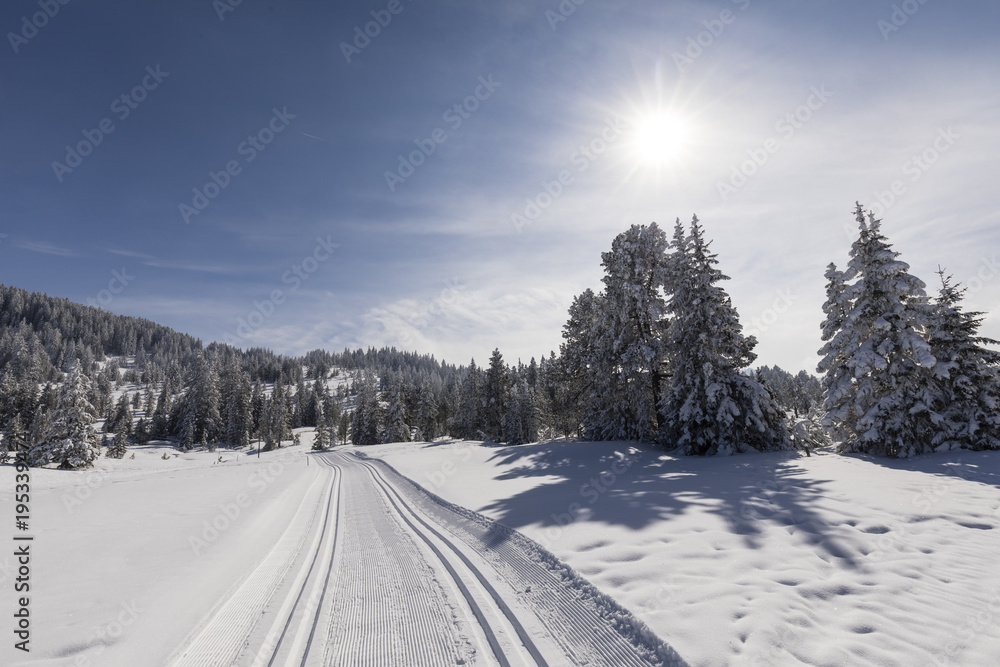 Fototapeta premium Cross-country ski trail on a beautiful winter day in Switzerland
