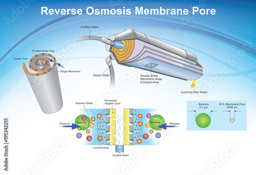 Reverse Osmosis membrane pore system. Illustration.
